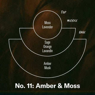 Amber & Moss | 12.5 oz Large Concentrated Soy Candle