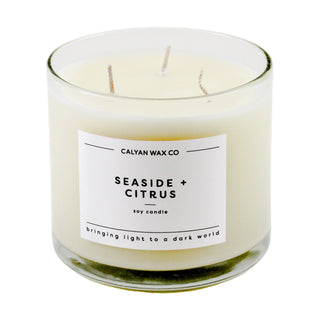 Seaside + Citrus | 3 Wick Soy Candle