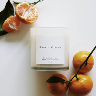 Home Series: Rose + Citrus Soy | Soy Wax Candle