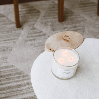 Seaside + Citrus | 3 Wick Soy Candle