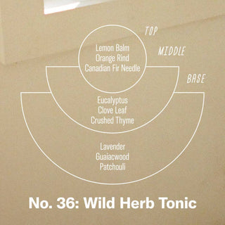 Wild Herb Tonic | 7.2 oz Standard Soy Candle